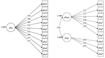 Psychometric Properties of the Patient Health Questionnaire-9 in Elderly Chilean Primary Care Users